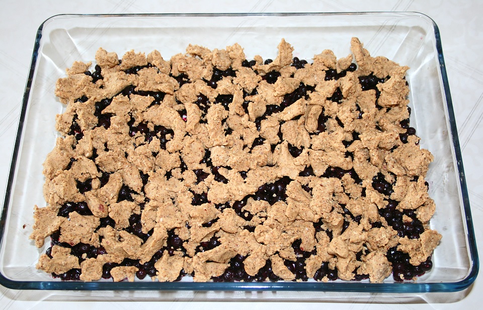 Heidelbeer Crumble 3 - Tanja`s glutenfreies Kochbuch